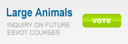 Large Animals Poll