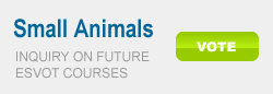 Small Animals Poll